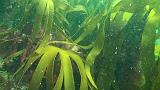 2011-06-15 16-58-55 UK_04